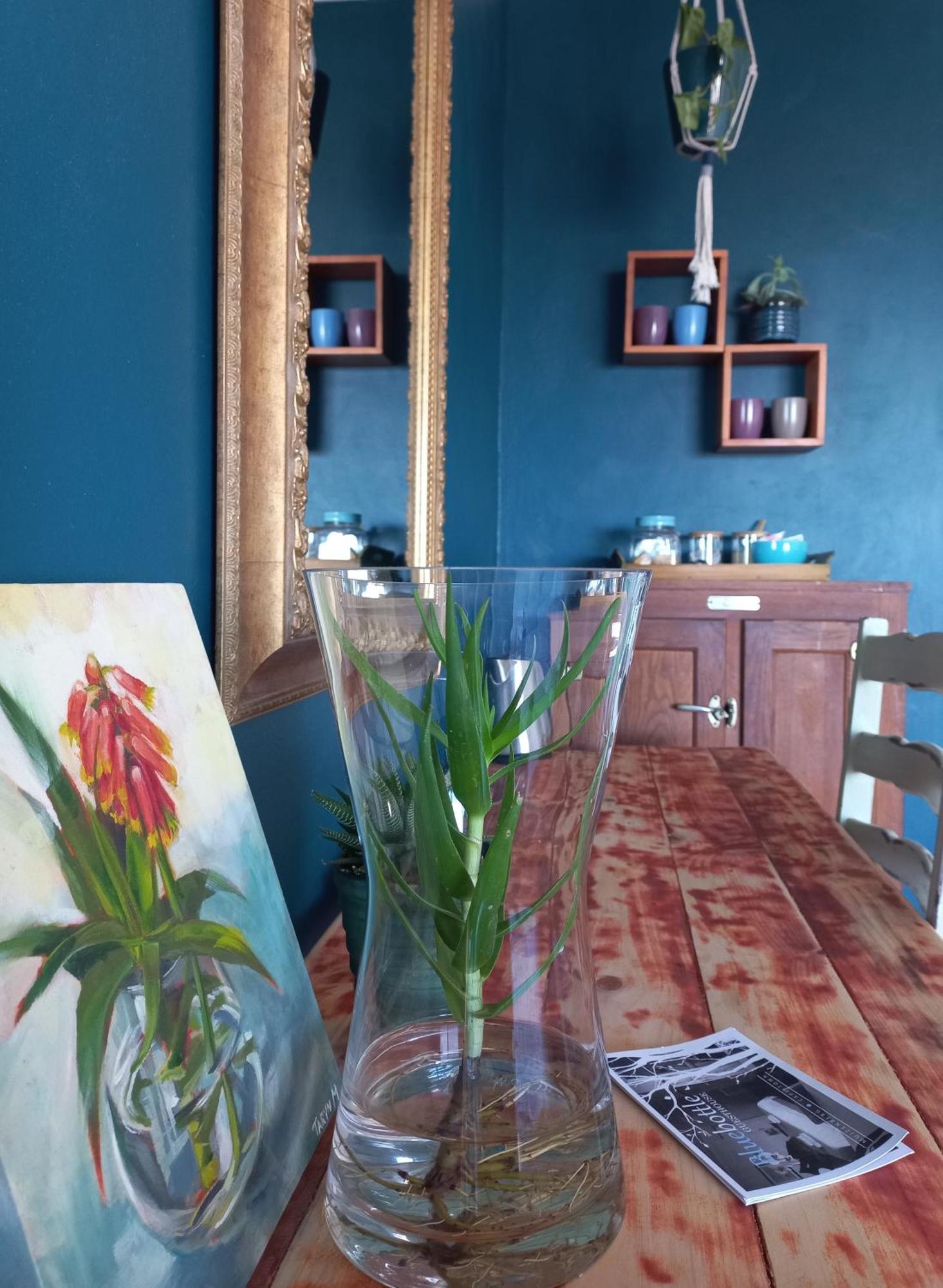Bluebottle Guesthouse Muizenberg Bagian luar foto
