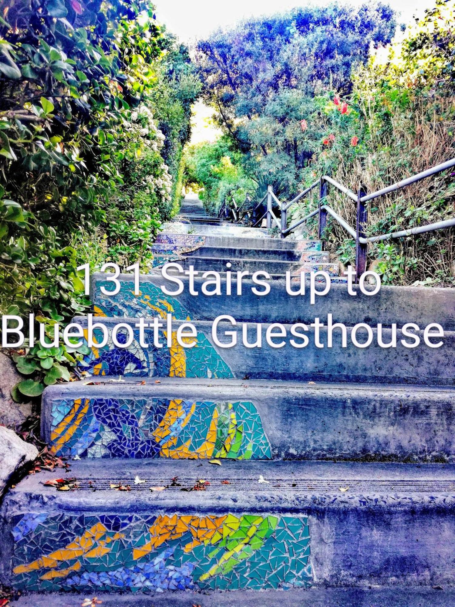 Bluebottle Guesthouse Muizenberg Bagian luar foto